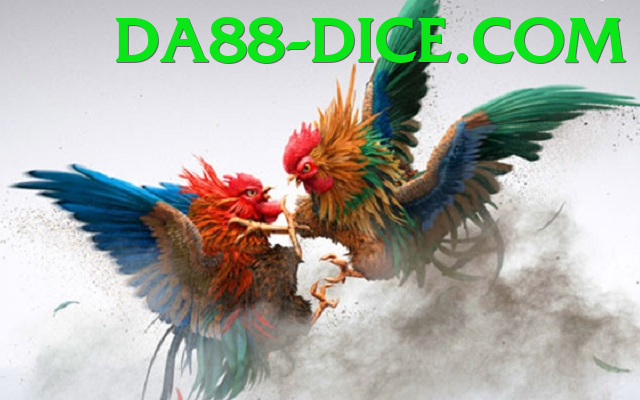 Cách Đọc Kèo Đá Gà - Game sinh tồn